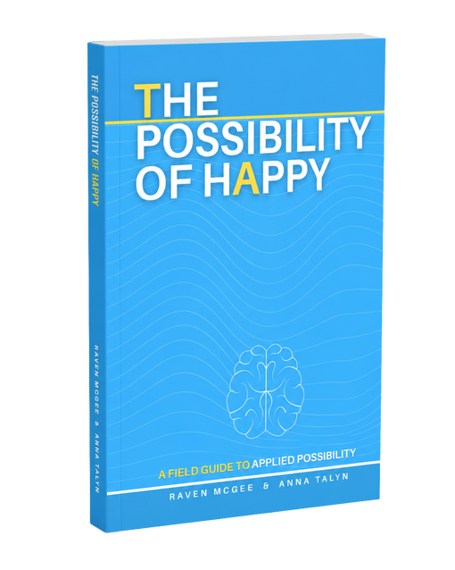 The Possibility of Happy Book 3D View